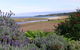 A Great Ocean View Motel - thumb 7